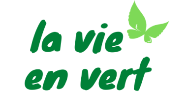 La Vie en Vert Première Boutique écologique zéro déchets au maroc